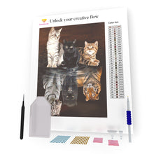 Load image into Gallery viewer, Cats Reflection DIY Diamond Painting