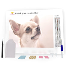 Load image into Gallery viewer, Chihuahua DIY Diamond Painting
