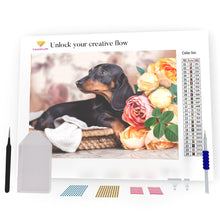Load image into Gallery viewer, Dachshund DIY Diamond Painting