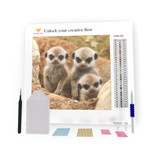 Load image into Gallery viewer, Meerkat DIY Diamond Painting