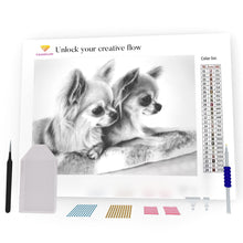 Load image into Gallery viewer, Two Chihuahua DIY Diamond Painting