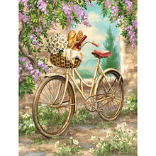 Load image into Gallery viewer, Bicycle With Vine DIY Diamond Painting