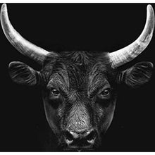 Load image into Gallery viewer, Bull DIY Diamond Painting