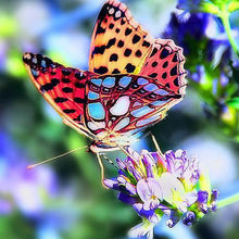Load image into Gallery viewer, Butterfly On The Flower DIY Diamond Painting