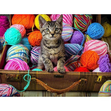 Load image into Gallery viewer, Cat In The Box DIY Diamond Painting