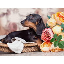 Load image into Gallery viewer, Dachshund DIY Diamond Painting