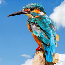 Load image into Gallery viewer, Hummingbird DIY Diamond Painting