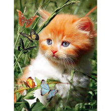 Load image into Gallery viewer, Kitten And Butterflies DIY Diamond Painting