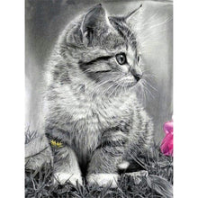 Load image into Gallery viewer, Kitten Art DIY Diamond Painting