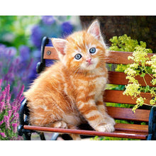 Load image into Gallery viewer, Kitten DIY Diamond Painting