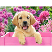 Load image into Gallery viewer, Labrador DIY Diamond Painting