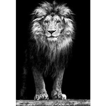 Load image into Gallery viewer, Lion In The Dark DIY Diamond Painting