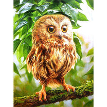Load image into Gallery viewer, Owl In The Forest DIY Diamond Painting