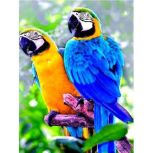 Load image into Gallery viewer, Parrots DIY Diamond Painting