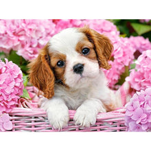 Load image into Gallery viewer, Puppy In The Box DIY Diamond Painting