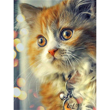 Load image into Gallery viewer, Redhead Kitten DIY Diamond Painting