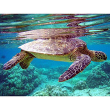 Load image into Gallery viewer, Sea Turtle DIY Diamond Painting