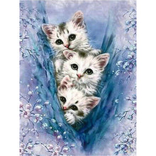 Load image into Gallery viewer, Three White Kittens DIY Diamond Painting