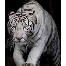 Load image into Gallery viewer, White Tiger DIY Diamond Painting