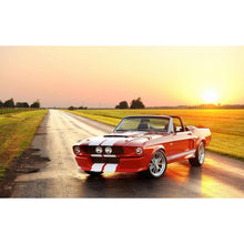 Load image into Gallery viewer, Red Car In The Field DIY Diamond Painting