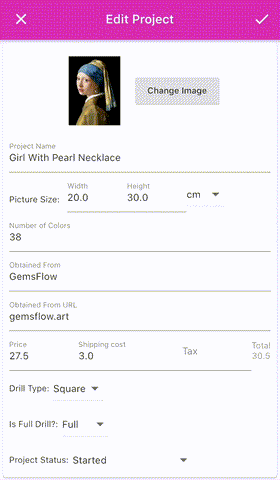 GemsFlow project information screen