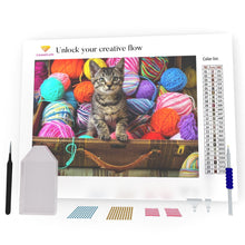 Load image into Gallery viewer, Cat In The Box DIY Diamond Painting