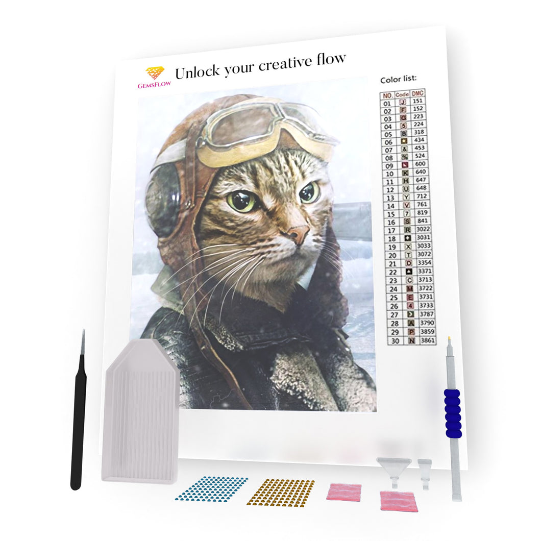 Cute Cat Pilot DIY Diamond Painting