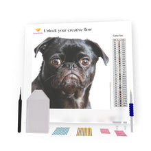 Load image into Gallery viewer, Cute Pug Dog DIY Diamond Painting