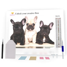 Load image into Gallery viewer, French Bulldogs DIY Diamond Painting