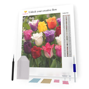 Many Multicolored Tulips DIY Diamond Painting