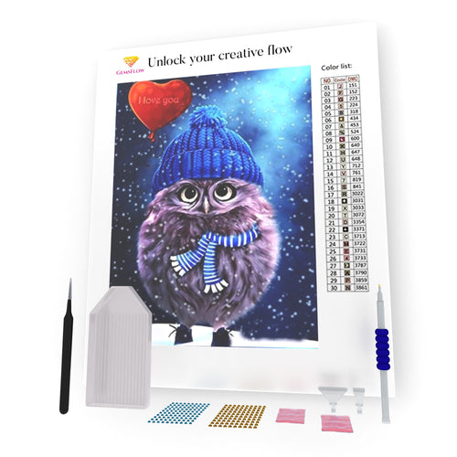 Owl In The Hat DIY Diamond Painting