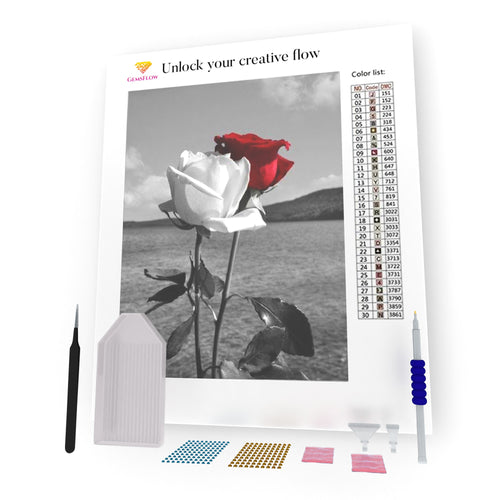 White And Red Roses In The Field DIY Diamond Painting