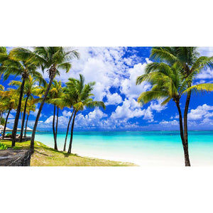 Beautiful Palm Beach DIY Diamond Painting