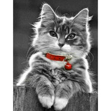 Load image into Gallery viewer, Cat in The Red Collar DIY Diamond Painting
