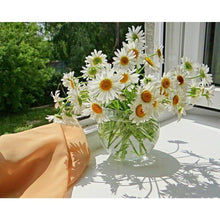 Load image into Gallery viewer, Chamomiles Near The Window DIY Diamond Painting
