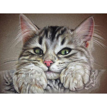 Load image into Gallery viewer, Cute Kitten DIY Diamond Painting