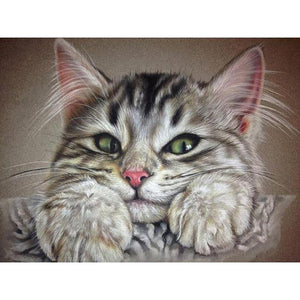 Cute Kitten DIY Diamond Painting