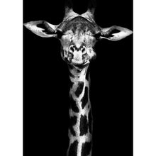 Load image into Gallery viewer, Giraffe DIY Diamond Painting