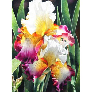 Iris Flowers DIY Diamond Painting