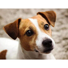 Load image into Gallery viewer, Jack Russell Terrier DIY Diamond Painting