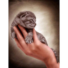 Load image into Gallery viewer, Kitten In The Hand DIY Diamond Painting