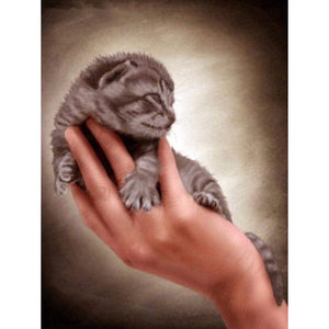 Kitten In The Hand DIY Diamond Painting