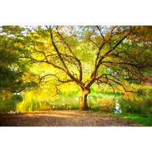 Load image into Gallery viewer, Landscape Of Big Trees DIY Diamond Painting