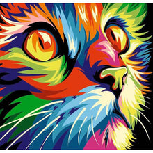Load image into Gallery viewer, Multicolored Cat DIY Diamond Painting