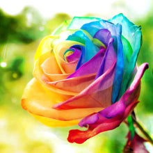 Load image into Gallery viewer, Multicolored Rose DIY Diamond Painting