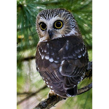 Load image into Gallery viewer, Owl On The Tree DIY Diamond Painting