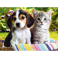 Load image into Gallery viewer, Puppy And A Kitten DIY Diamond Painting
