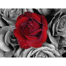 Load image into Gallery viewer, Red Rose DIY Diamond Painting