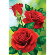 Load image into Gallery viewer, Red Roses DIY Diamond Painting
