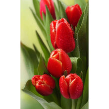 Load image into Gallery viewer, Red Tulips Painting DIY Diamond Painting